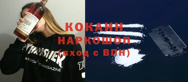 гидра Алексин