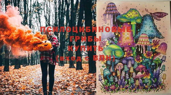 ПСИЛОЦИБИНОВЫЕ ГРИБЫ Строитель