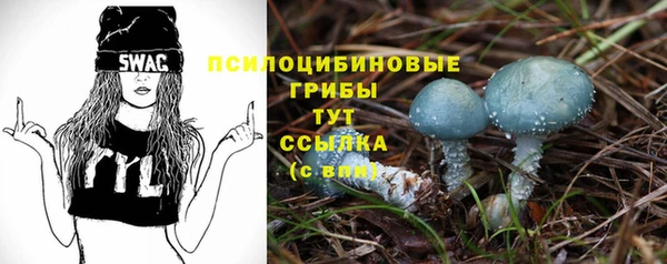 ешки Наволоки