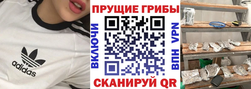 Галлюциногенные грибы прущие грибы  что такое наркотик  Ставрополь 
