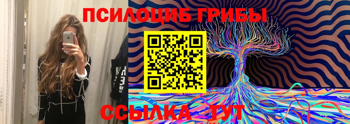 Галлюциногенные грибы Psilocybe  Вход с VPN  Ставрополь 